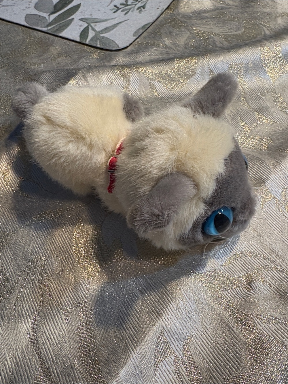 Vintage Plush Big Headed Siamese -The Cat- with Bright Blue Eyes - Picture 2 of 4